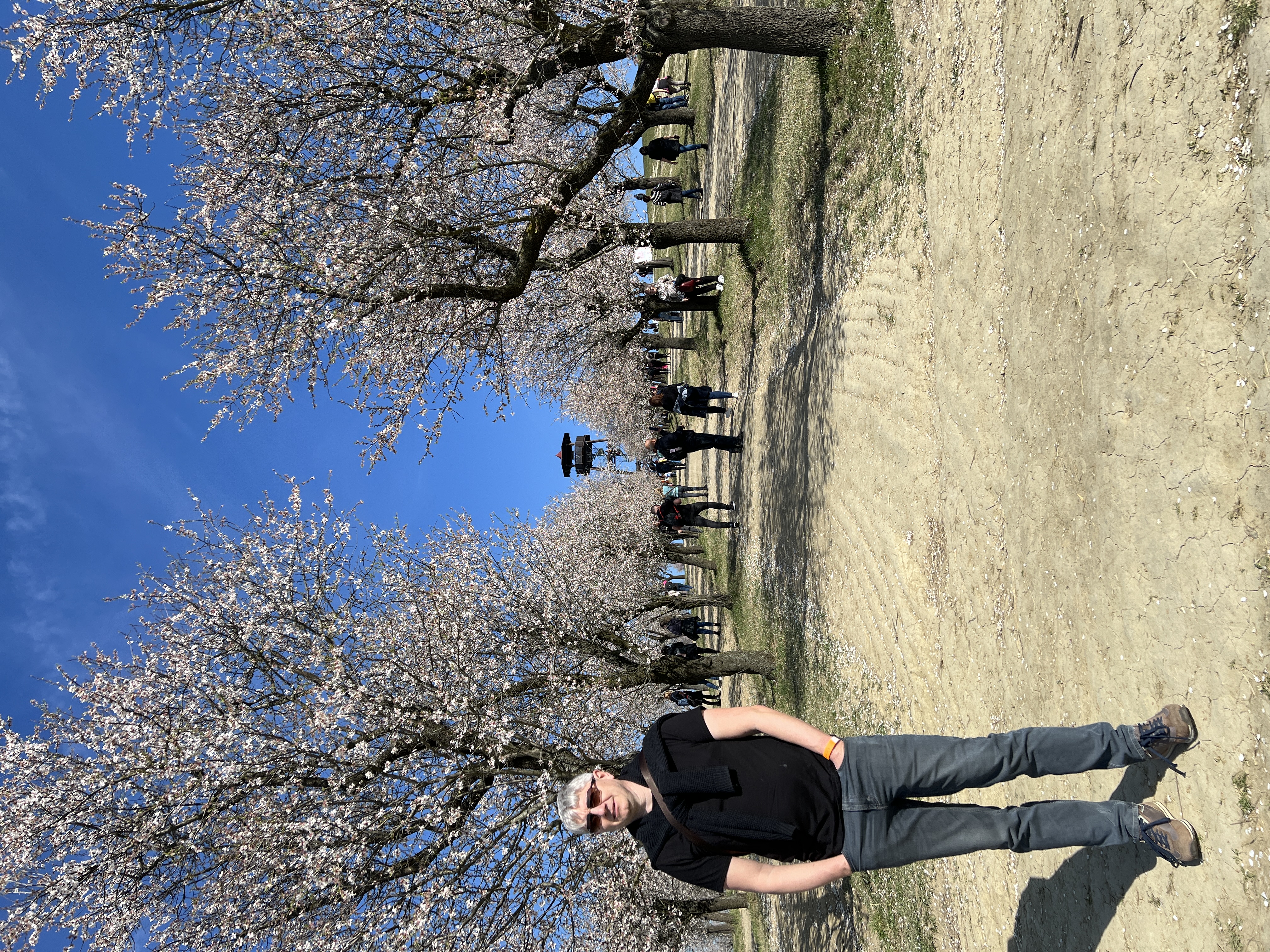 Photo 23.03.2024, 10 01 45